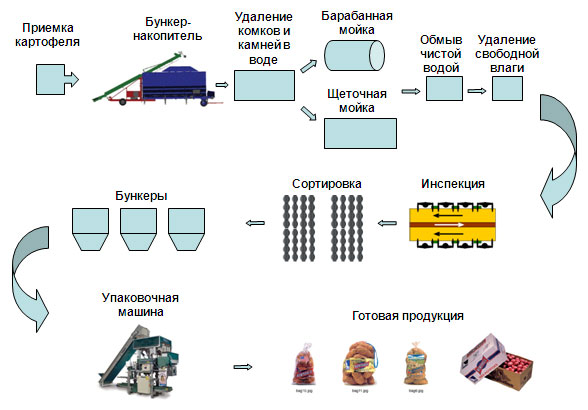 Принципиальная схема линии первичной переработки свежего картофеля и овощей